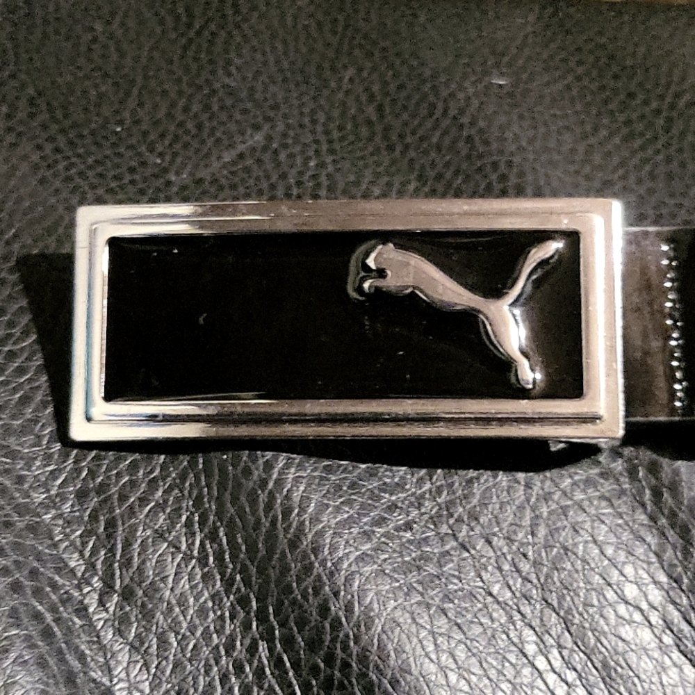 Puma belt